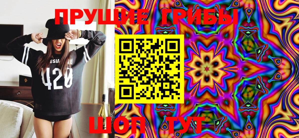 Псилоцибиновые грибы Cubensis Бахчисарай