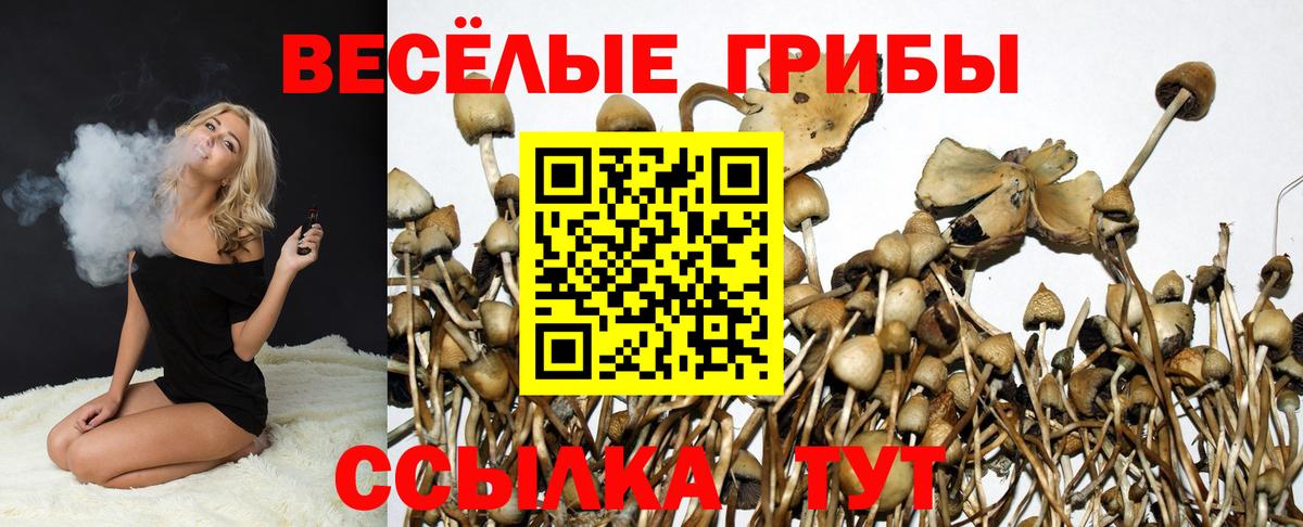Галлюциногенные грибы прущие грибы  Вход с VPN  Бахчисарай 